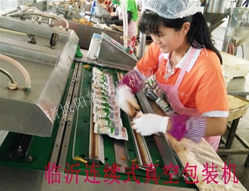 臨沂連續式真空包裝機